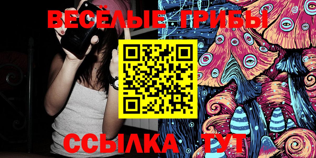 Миасс  Галлюциногенные грибы прущие грибы  Вход с VPN 